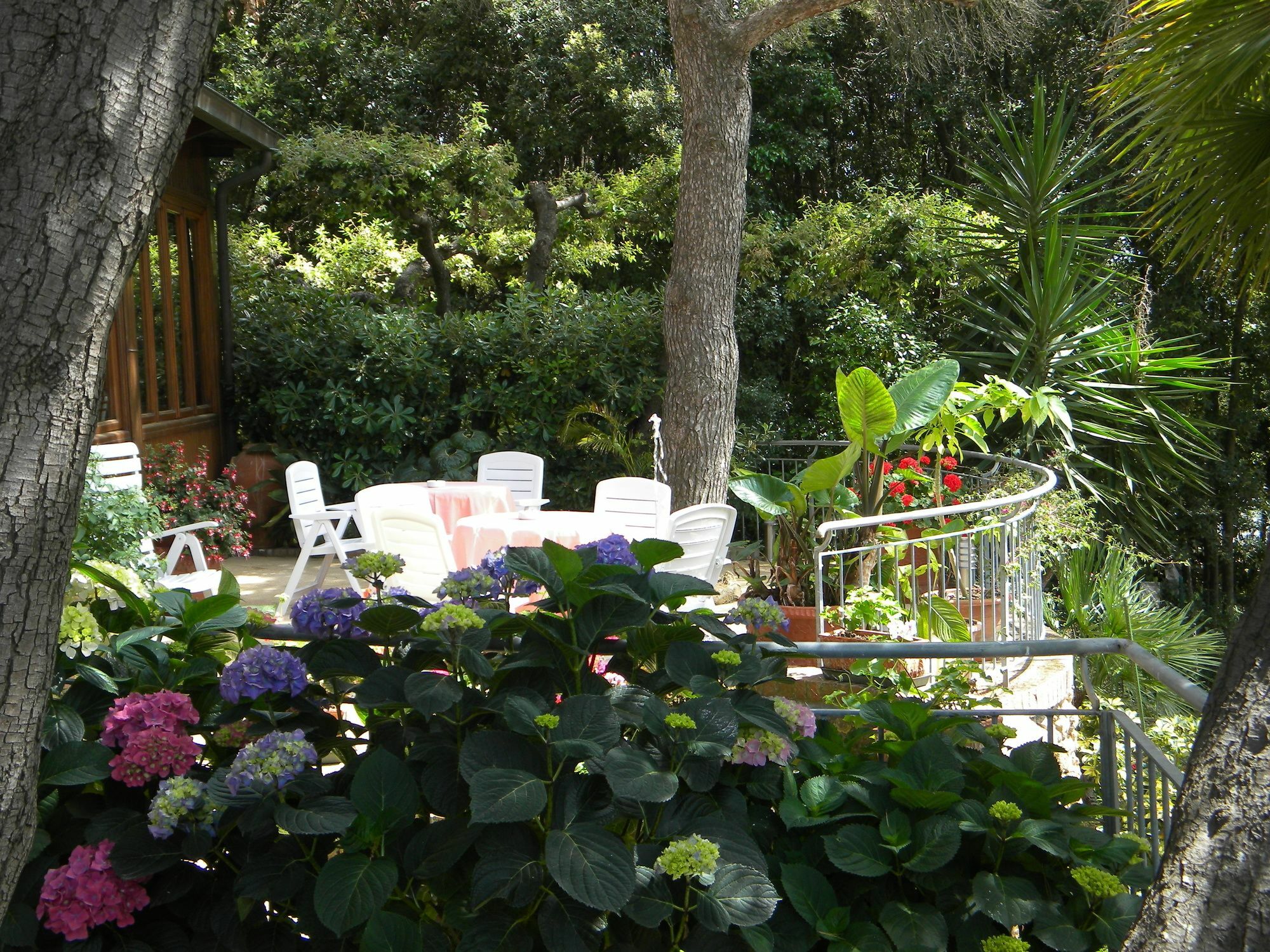 Hotel La Rosa Del Tirreno リヴォルノ エクステリア 写真