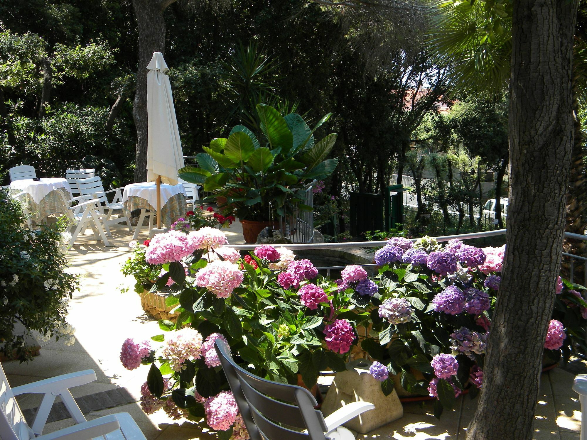 Hotel La Rosa Del Tirreno リヴォルノ エクステリア 写真